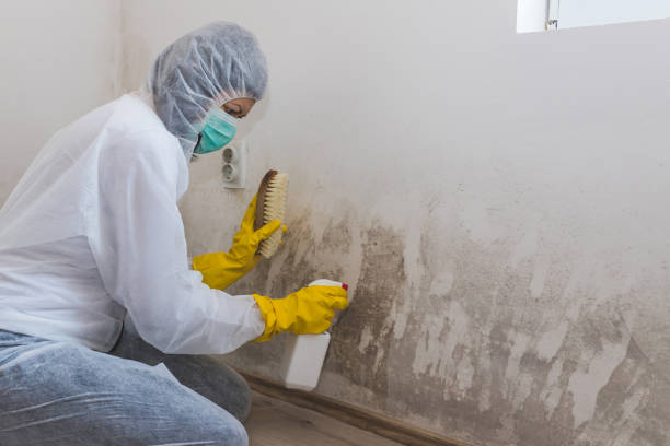 Best Residential Mold Inspection & Testing  in Brodhead, KY